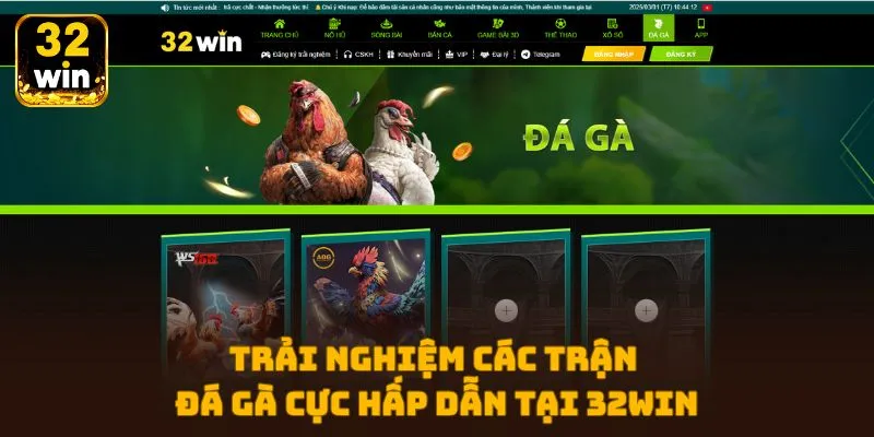 Trải nghiệm các trận đá gà cực hấp dẫn tại 32WIN